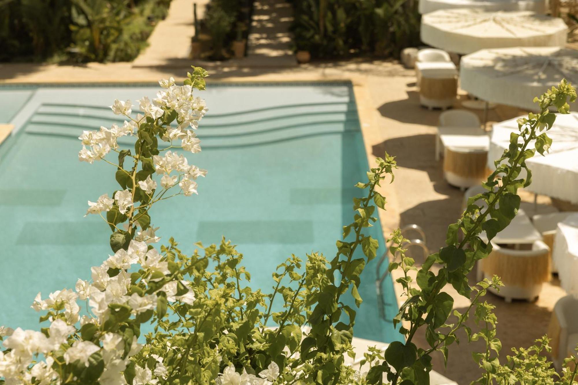 Les Palmiers Boutique Hotel & Spa Marrakesz Zewnętrze zdjęcie