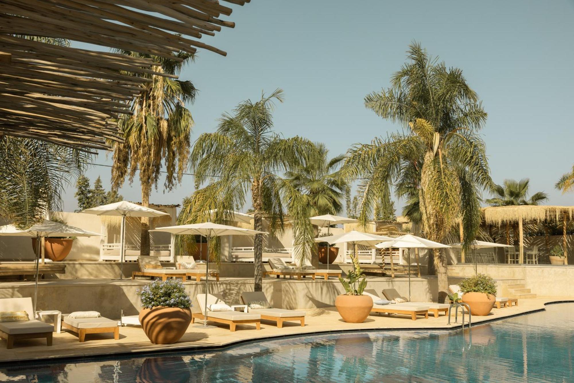 Les Palmiers Boutique Hotel & Spa Marrakesz Zewnętrze zdjęcie